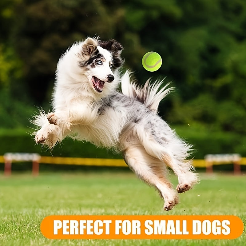 20 Pack Mini Tennis Balls for Small Breed Dogs - Fun Pet Toys for Playing, Training, and Interactive Games - Durable, Bouncy, and Safe 2 Inch