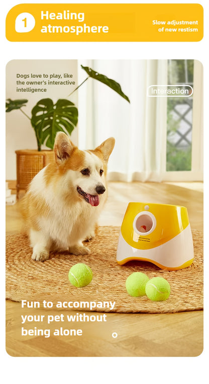 3 Tennis Ball Automatic Dog Ball Launcher - Interactive Pet Toy For Fetch Training And Exercise