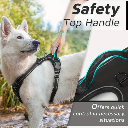 Magnolia 2pcs No Pull Dog Harness for Large Dogs