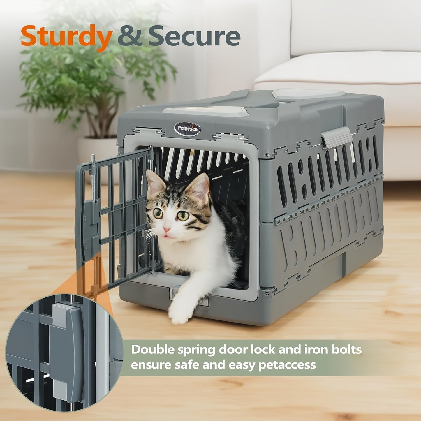 Foldable Hard-Sided Pet Crate with Dual Doors – Portable Travel Kennel for Small & Medium Pets