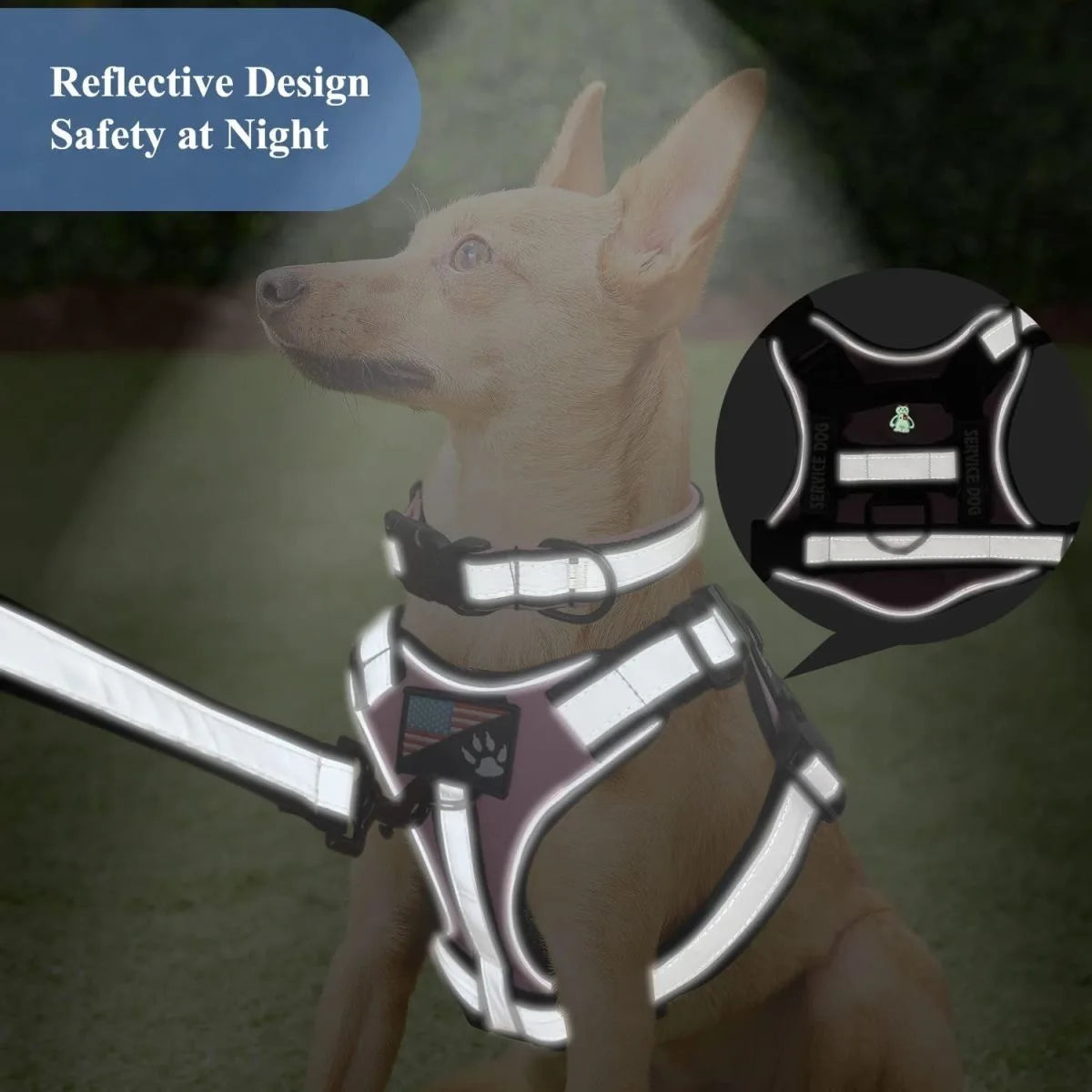 Harness Collar Walking Pet Vest Harness – Suitable for Medium and Large Dogs