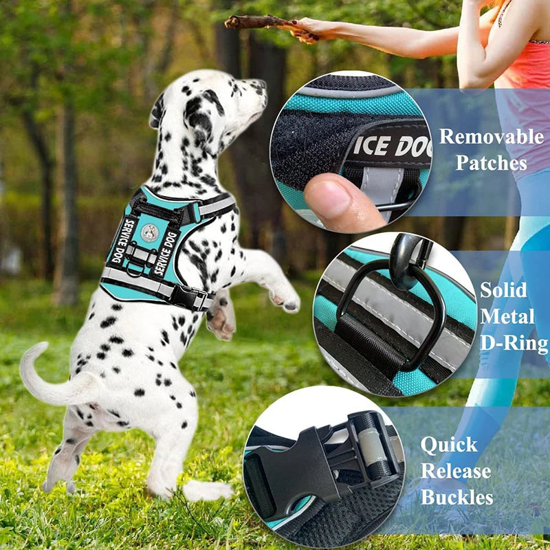 Harness Collar Walking Pet Vest Harness – Suitable for Medium and Large Dogs