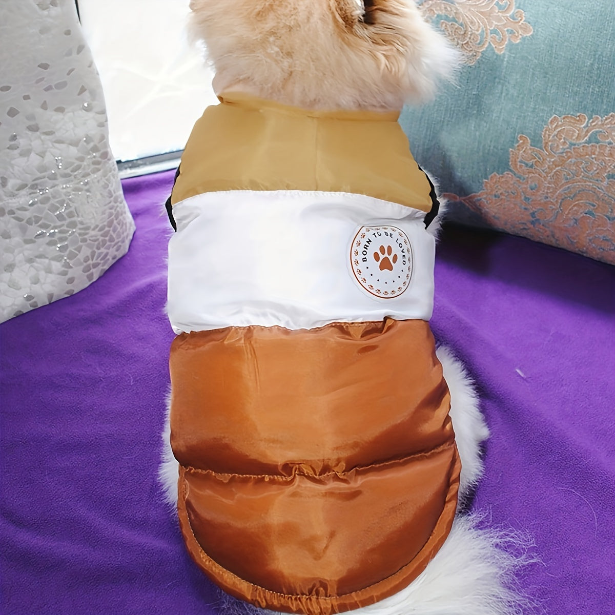 Color-Block Windproof Winter Pet Jacket for Dogs and Cats - Beige, White, Brown Striped Design with Paw Print Logo, Cozy Polyester Material, Machine Washable, Ideal for Small to Medium Breeds, Outdoor Pet Gear | Pet friendly