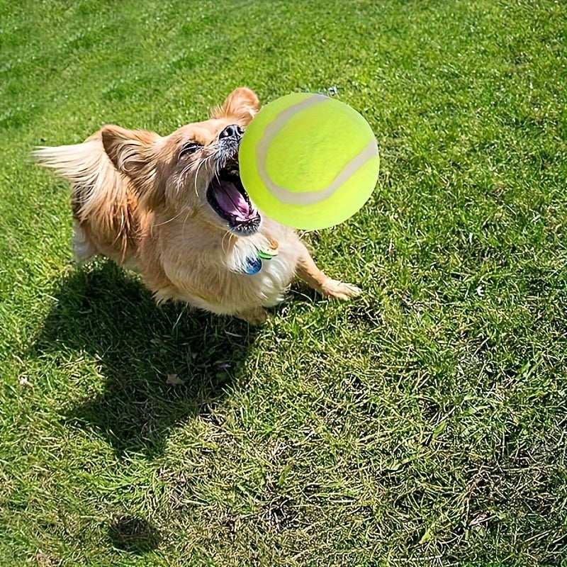 20 Pack Mini Tennis Balls for Small Breed Dogs - Fun Pet Toys for Playing, Training, and Interactive Games - Durable, Bouncy, and Safe 2 Inch