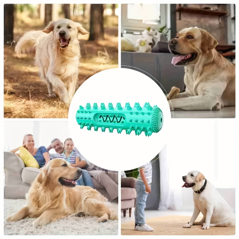 Durable Dog Chew Toy Toothbrush Stick - Teeth Cleaning Dental Care, Soft Textured Rubber for Small to Large Breeds, Promotes Healthy Gums and Fresh Breath, Dog Toys for Aggressive Chewers